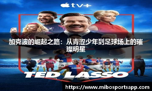 米博体育官方网站